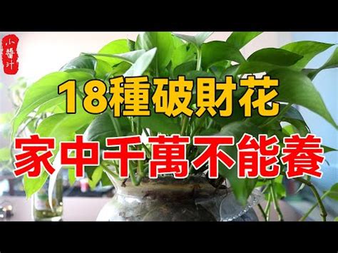 皇后山風水|【如意皇后風水】如意皇后風水招財風格水擺放！